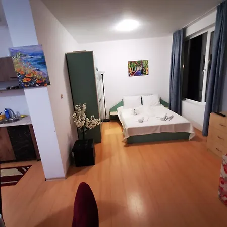 Sunny Day 5 *